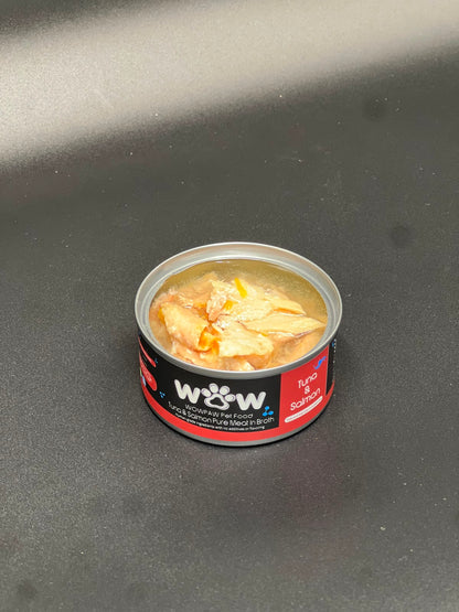 清燉吞拿魚三文魚